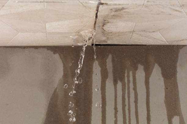 Professional Burst Pipe Cleanup technician working in Evergreen, AL
